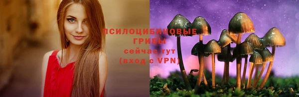 а пвп мука Надым