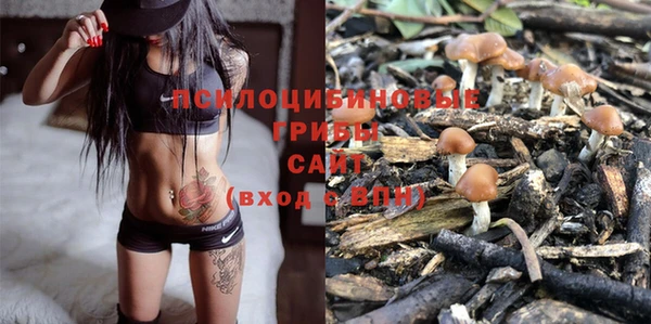 ГАЛЛЮЦИНОГЕННЫЕ ГРИБЫ Михайловка