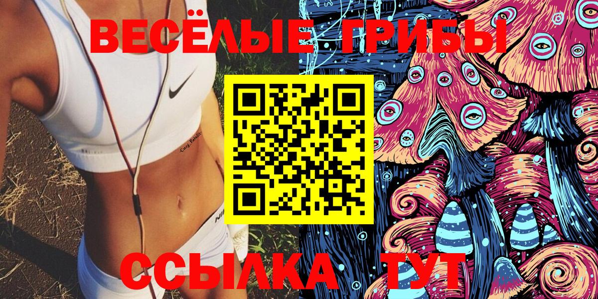 Галлюциногенные грибы Psilocybine cubensis Нижний Тагил